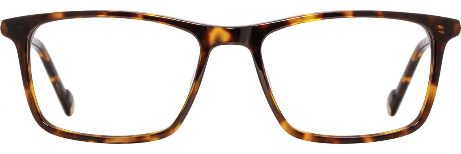 Scott Harris SH990 Eyeglasses - view 10